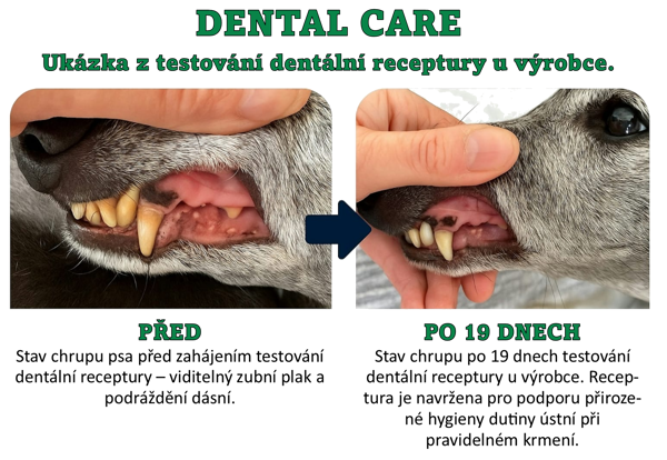 TESTOVÁNÍ Goldmount Feed Adult Dog Dental Care