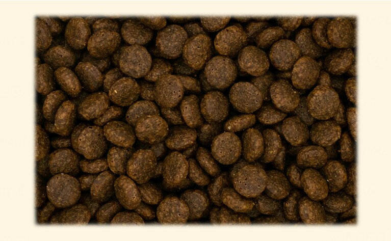 Jak poznat kvalitní krmivo na první pohled