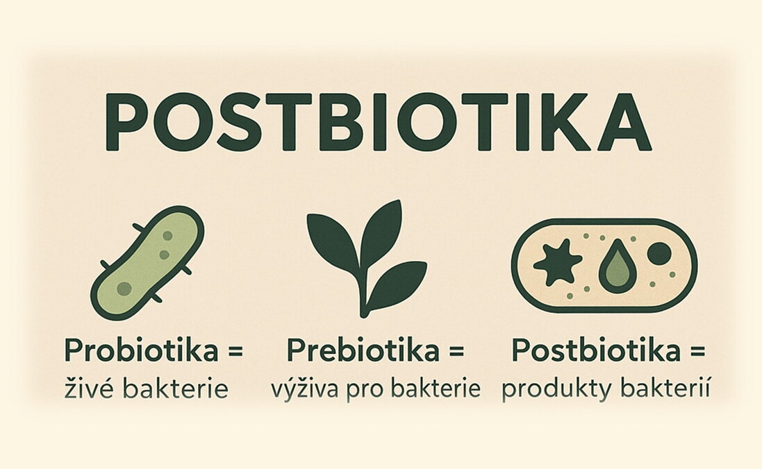 Co jsou postbiotika a proč by vás měla zajímat