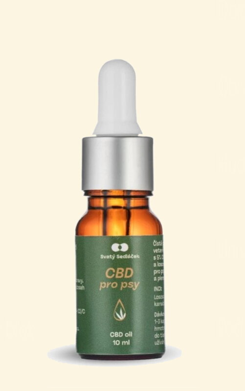 CBD kapky pro psy 5 % – přírodní doplněk z Jeseníků