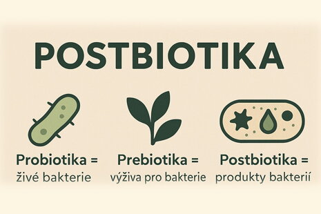 Co jsou postbiotika a proč by vás měla zajímat