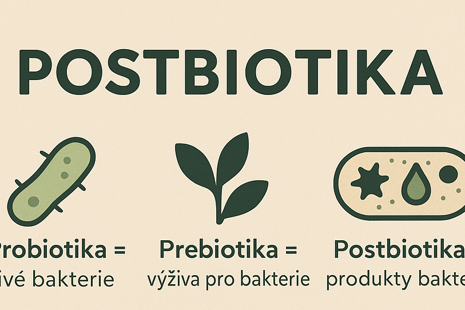 Co jsou postbiotika a proč by vás měla zajímat